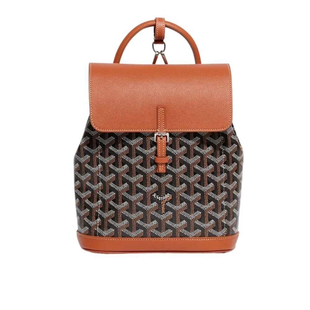 GOYARD ALPHI MINI BACKPACK BLACK AND TAN 19CM ALPIN2MINTY33CL33P