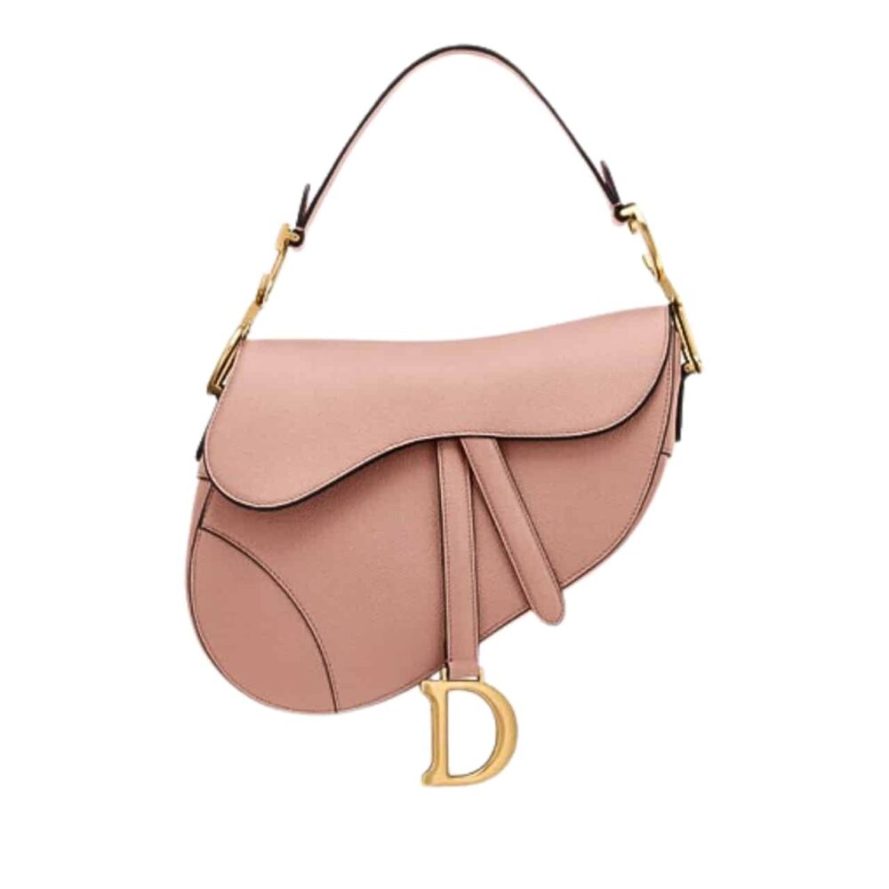 DIOR MICRO SADDLE GOATSKIN ROSE DES VENTS S5685CCEHM49P