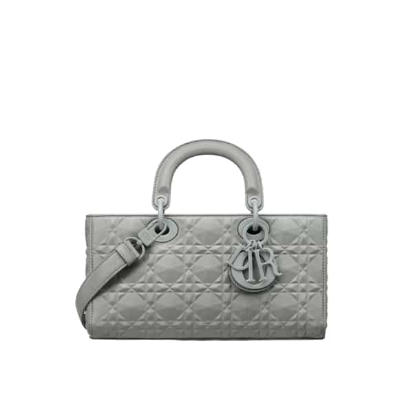 DIOR LADY D-JOY BAG GREY 26CM M0540INEA_M41G